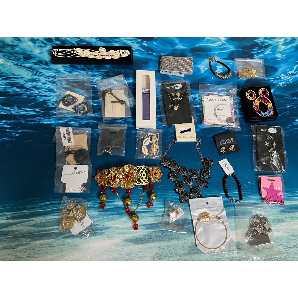 Huge 25 Piece Jewelry Lot Statement Necklaces Earrings Bracelets Alex and Ani